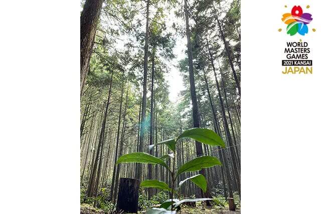吉野町森林セラピー体験