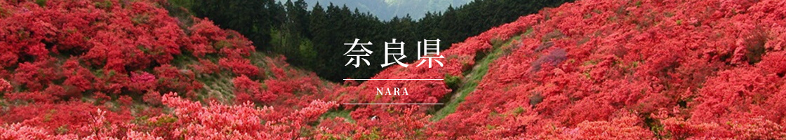 奈良県(NARA)