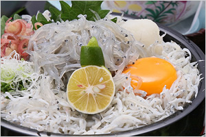 <font color='blue' size='2'>Sunrise Awaji’s specialty, W Shirasu Don (Photo from the website)</font>