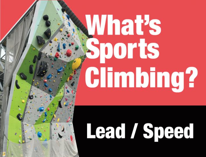 What’s sports climbing? -Lead / Speed-