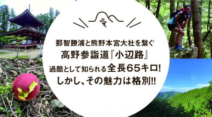 高野山と熊野本宮大社を繋ぐ高野参詣道『小辺路』 過酷として知られる全長65キロ！しかし、その魅力は格別！！